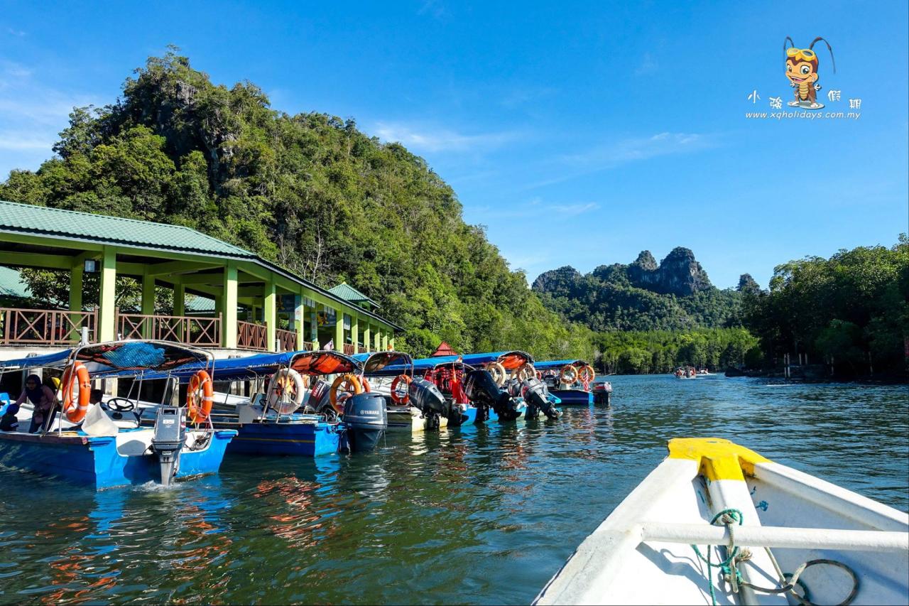 Mangrove Tour Langkawi: Jelajahi Ekosistem yang Menakjubkan